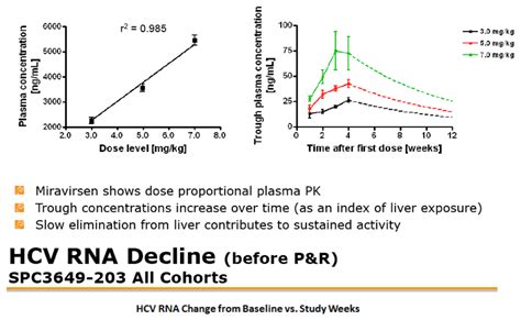 Anti Viral Proof Of Concept Study Of Miravirsen An