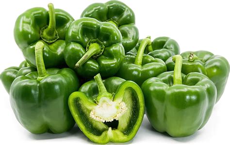 Green Holland Bell Peppers Information Recipes And Facts