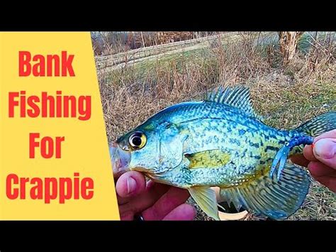 Catching Pre Spawn CRAPPIE From The BANK YouTube