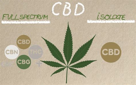 Quels sont les avantages de lhuile de CBD à spectre complet pure à 100