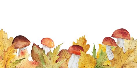 Autumn leaves border watercolor 11434622 PNG