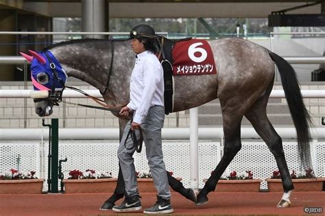 53（日）京都11r 天皇賞（春） 古谷 剛彦さんの印｜jrdb 競馬アラカルト｜note