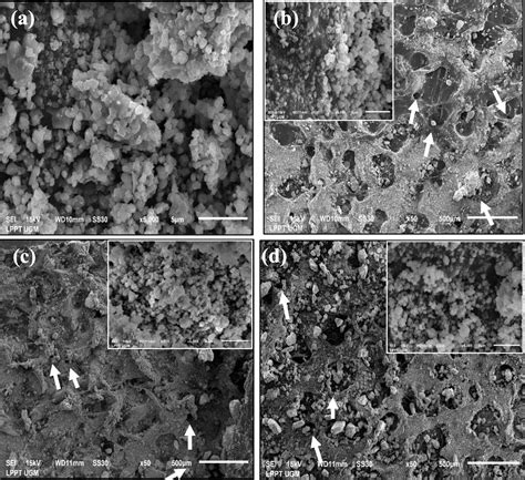 Bioceramic Hydroxyapatite Based Scaffold With A Porous Structure Using Honeycomb As A Natural