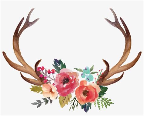 White Border Cartoon Moose Royaltyfree Blog Head Brown Clip Art