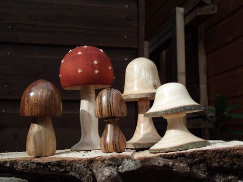 Worldwide Competitions Will Soon Feature A Dedicated Mushroom Tri Category - RYZE Superfoods