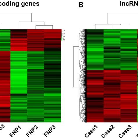 Heat Maps Of Differential Expression And Hierarchical Clustering Of