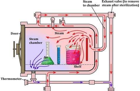 Label The Schematic Of The Autoclave With The Correct Descri