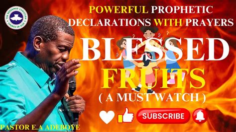 Powerful Prophetic Declarations With Prayers On Blessed Fruits Pastor