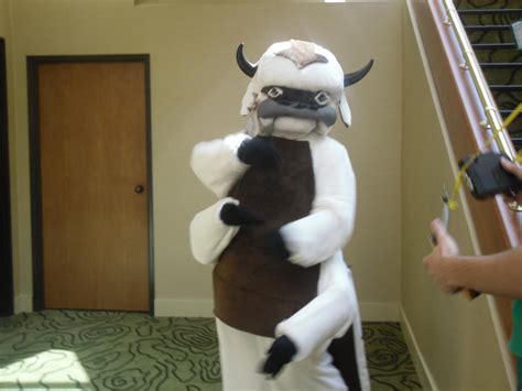 Appa cosplay NDK by earthrocker48 on DeviantArt