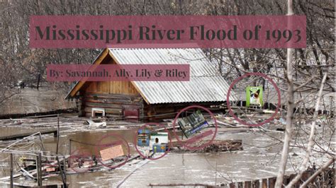 Mississippi River Flood of 1993 by Riley Hilbert