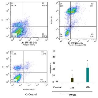 The Apoptosis Inducing Effect Of 5 Aza CdR On Colon Cancer SW 480 Cells