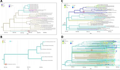 Introduction And Linkage Of Omicron Variants In Pakistan Phylogenetic Download Scientific