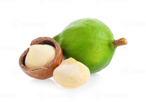 macadamia isolated  white background  stock photo  vecteezy