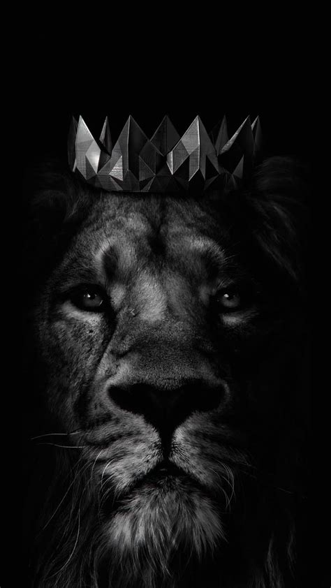 King Lion Iphone Wallpaper Hd Iphone Wallpapers