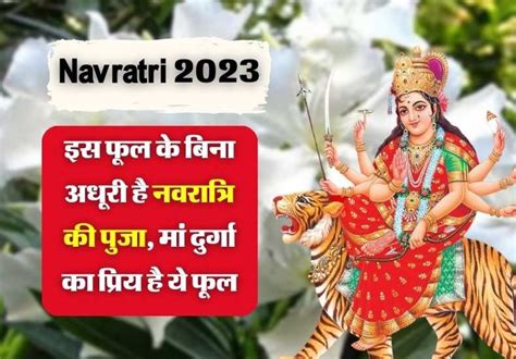 Navratri 2023 इस फूल के बिना अधूरी है नवरात्रि की पुजा मां दुर्गा का