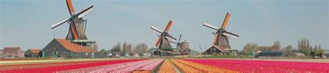 partir au pays bas votre guide de voyage sur mesure