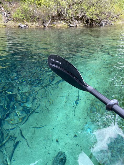 Clear Lake, Linn County, Oregon 😍 : r/Kayaking