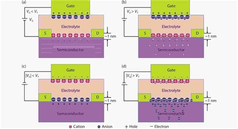 Electrolyte Gated Transistors For Neuromorphic Applications