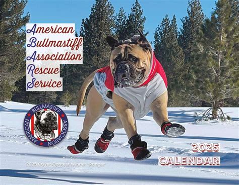 Rescue The American Bullmastiff Association