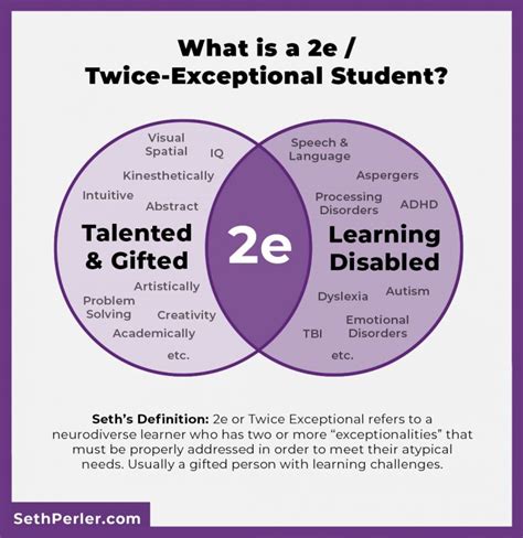 Is My Child Twice Exceptional Or 2e The Ultimate Guide Seth Perler