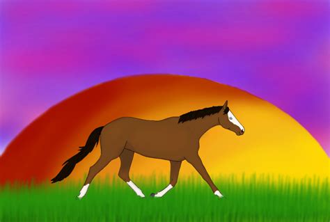 Horse Sunset by RuMiNaAm on DeviantArt