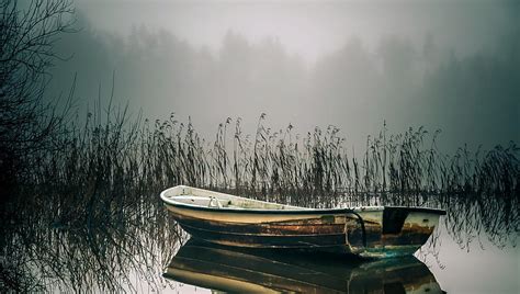 Old Rowboat Floating On A Foggy Lake Rowboat Reeds Trees Lake Fog