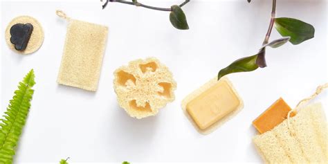 Esponja Medicinal De Luffa Beneficios Y Usos Botoxina