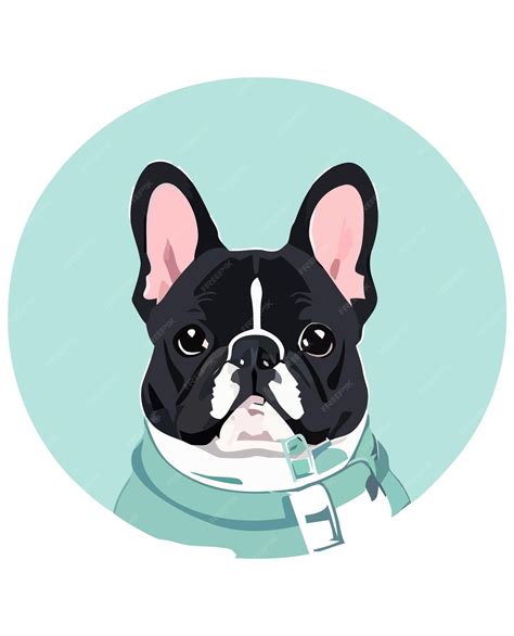 Premium Vector | Funny bulldog face isolated outlined vector illustration