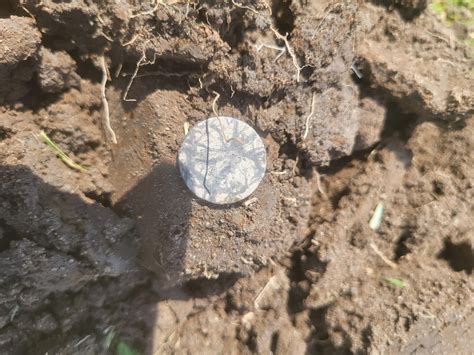 First Hunt With Manticore Update Metal Detecting For Coins Relics