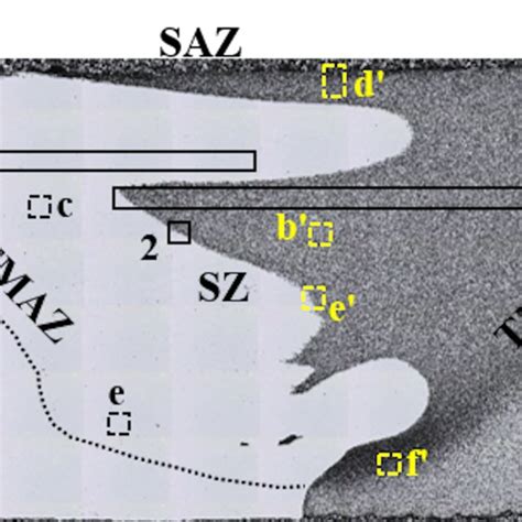 Optical Micrograph Of The Transverse Cross Section Of The Dissimilar