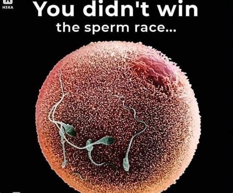 The Sperm Race You Didn T Win The Sperm Race Know Your Meme