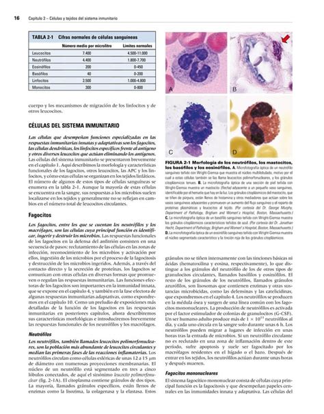 Inmunologia Celular Y Molecular De Abbas Ma Edicion Pdf