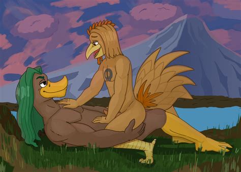 Rule 34 Anatid Anseriform Anthro Avian Bird Chicken Duck Duo Galliform Gallus Genus Gay