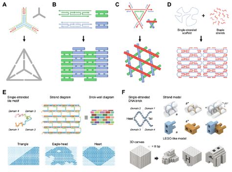 2d 3d Dna Nanostructures