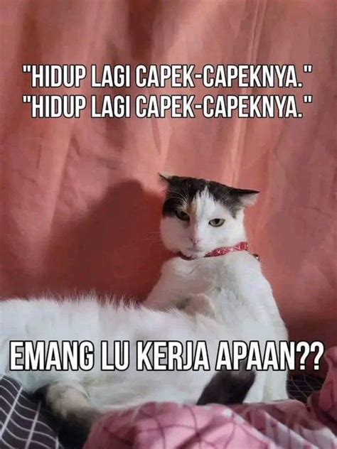 Meme Kocak Lagi Capek