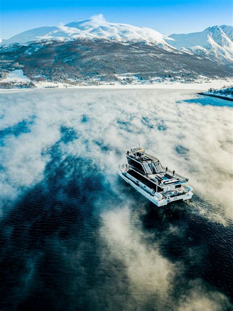 Tromsø fjord and wildlife cruise | musement