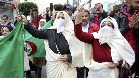 عشائر في الحكم وانشقاقات تهز الجزائر • نون بوست