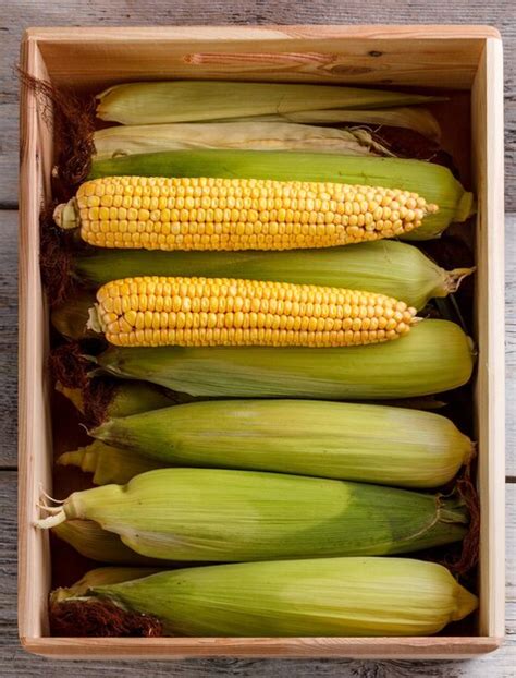 Premium Photo | Corn cobs