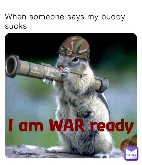 Squirrel In Armor Meme - 51+ Koleksi Gambar