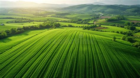 Aerial View Of Vast Green Fields With The Landscape Geometry Texture