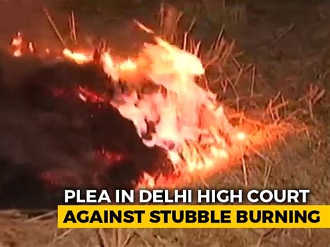 Stubble Burning In Haryana And Punjab Latest News Photos Videos On