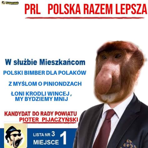 Najlepszych Mem W O Nosaczach Wrzesie Strona Ehumor Pl