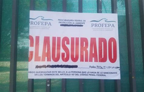 Profepa Clausura De Nuevo Obras Del Parque San Rafael Notisistema