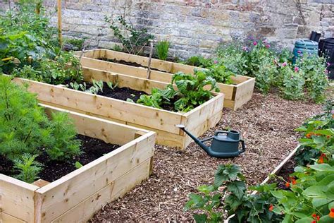 Vegetable Garden Plans For Raised Beds Hot Sex Picture