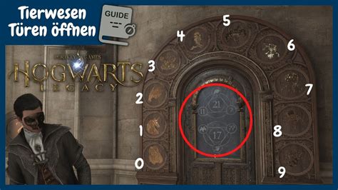 Wie Du Alle Tierwesen T Ren Ffnen Kannst Hogwarts Legacy Guide