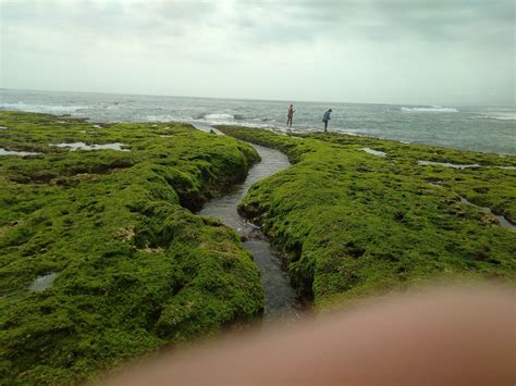 Pantai Karang Papak Wisata Garut Hibur Id