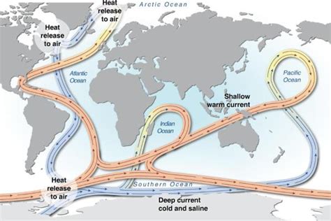 What Drives Deep Ocean Currents Thermohaline Circulation Explained