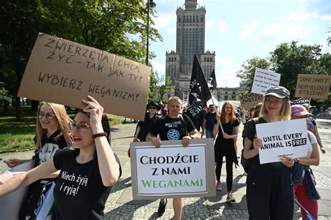 Marsz Wyzwolenia Zwierząt w Warszawie Obrońcy zwierząt przeszli