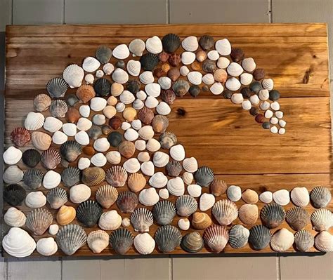 Seashell Wall Decor - Etsy