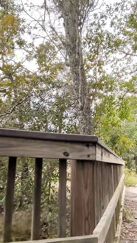 White Nylon Panty Public Walk Gay Amateur Porn Xhamster